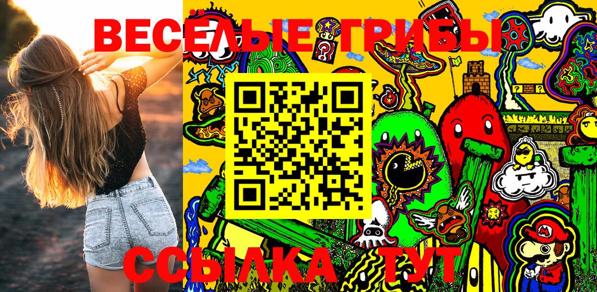 Галлюциногенные грибы Psilocybe Ирбит
